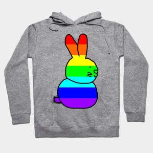 Rainbow Rabbit Hoodie